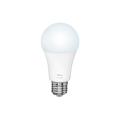 led bulbs